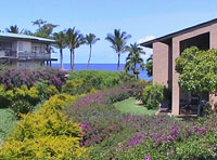 Maui Condo Rental
