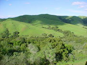 Mt.Diablo
